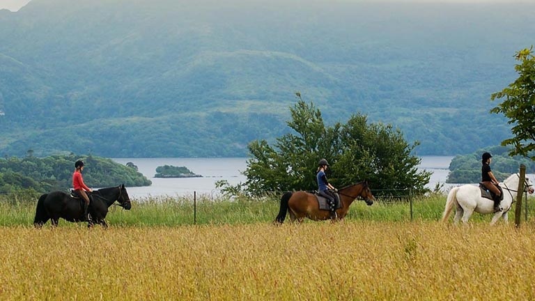 Horse Riding In Killarney National Park